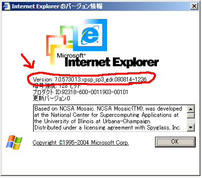 IE7…？